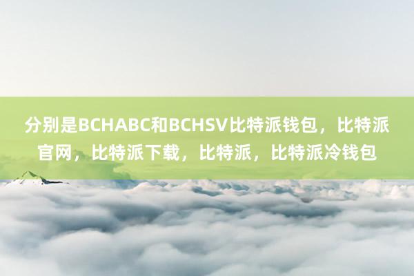 分别是BCHABC和BCHSV比特派钱包，比特派官网，比特派下载，比特派，比特派冷钱包