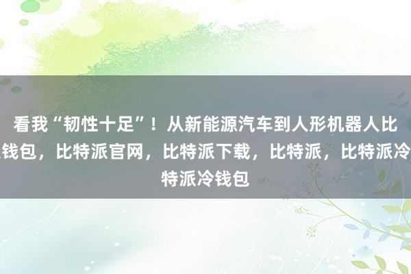 看我“韧性十足”！从新能源汽车到人形机器人比特派钱包，比特派官网，比特派下载，比特派，比特派冷钱包