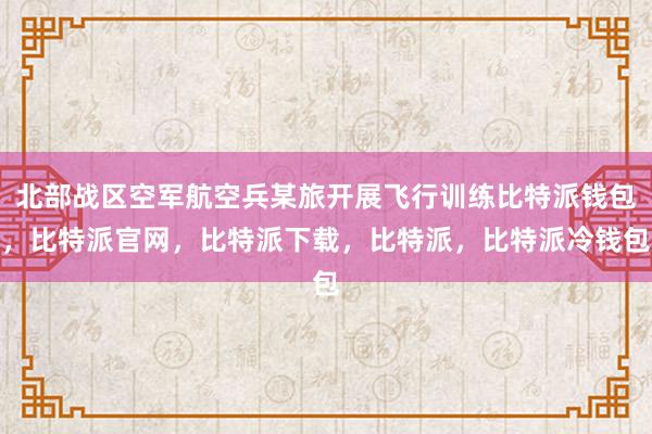 北部战区空军航空兵某旅开展飞行训练比特派钱包，比特派官网，比特派下载，比特派，比特派冷钱包