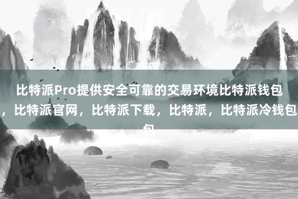 比特派Pro提供安全可靠的交易环境比特派钱包，比特派官网，比特派下载，比特派，比特派冷钱包