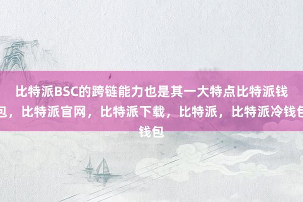 比特派BSC的跨链能力也是其一大特点比特派钱包，比特派官网，比特派下载，比特派，比特派冷钱包