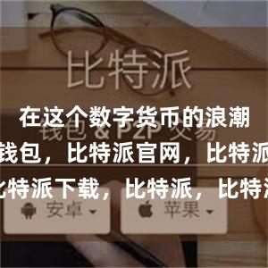 在这个数字货币的浪潮中比特派钱包，比特派官网，比特派下载，比特派，比特派冷钱包