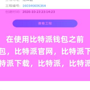 在使用比特派钱包之前比特派钱包，比特派官网，比特派下载，比特派，比特派冷钱包